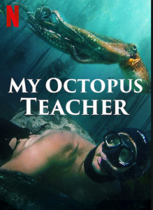 My octopus teacher